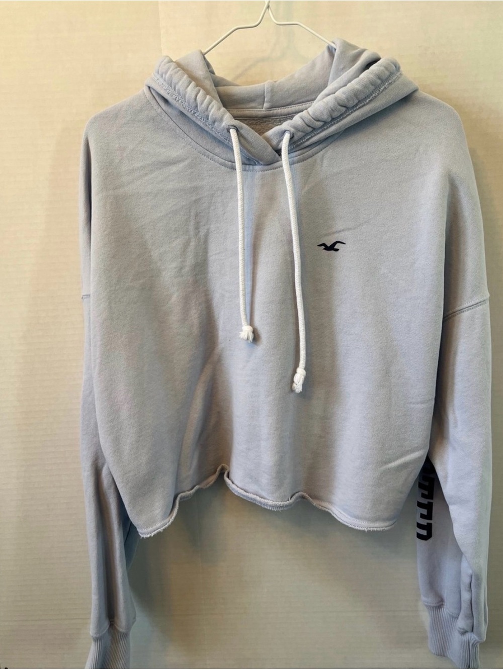 Hollister Cropped Hoodie